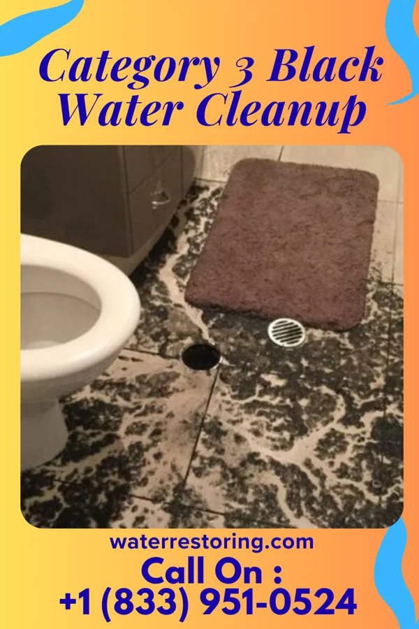 Category 3 Black Water Cleanup in Massac, KY